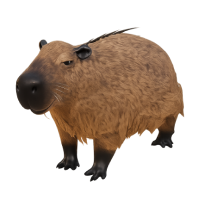 Capybara
