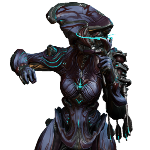 IVARA ARCUATA SKIN