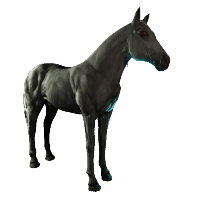 Black Horse Skin