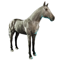 Grey Horse Skin