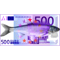 500€