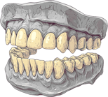 False teeth