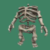 Skeleton Body