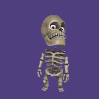 The Skeleton Bundle