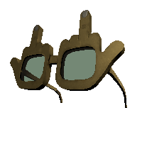 Middle Finger Glasses