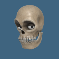 Skull Head