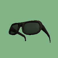 Black Sun Glasses