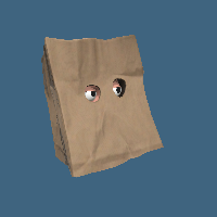 Bag Head