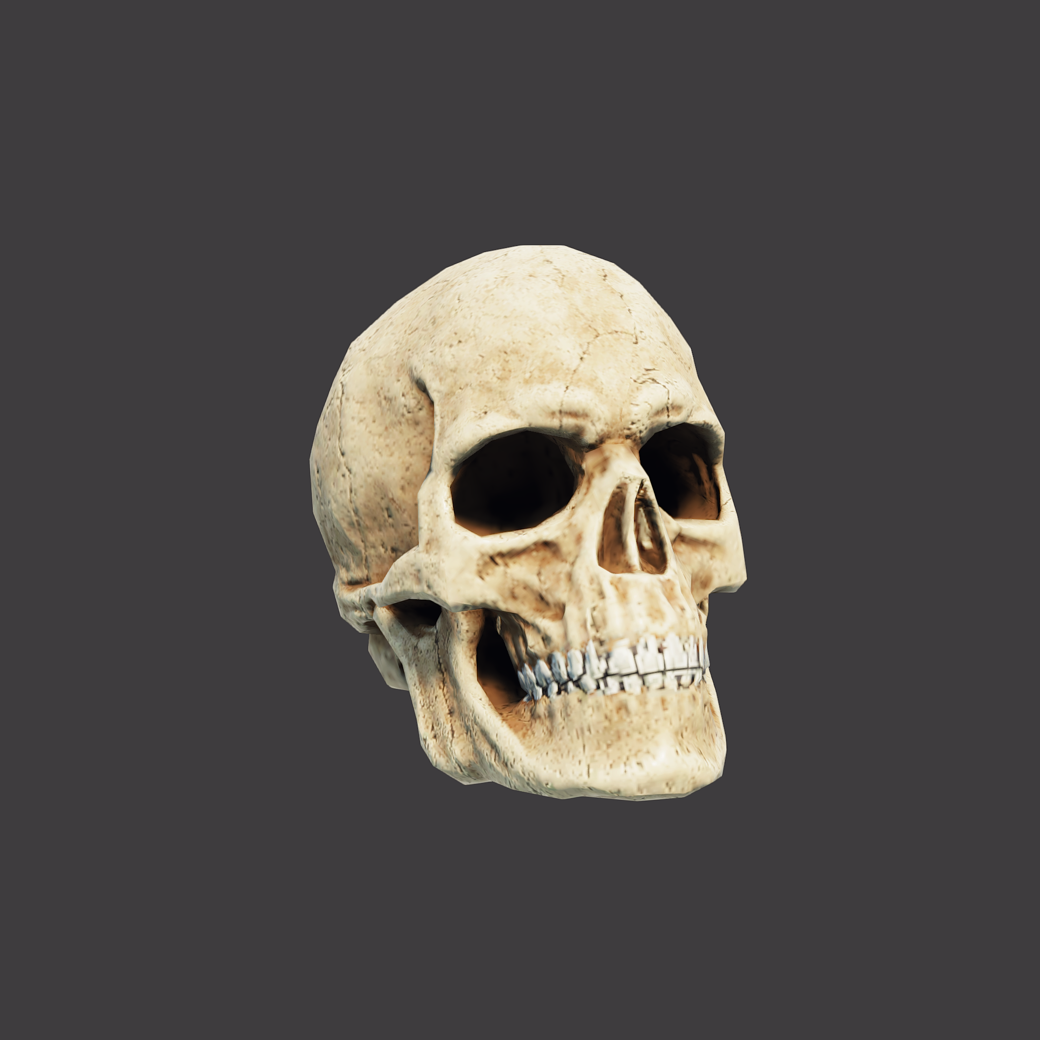 Skull Decoration