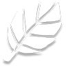 Leaf Emblem