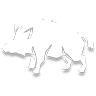 Boar Emblem