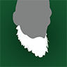 Greenhorn Beard