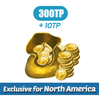 300TP Bundle for NA(North America) Servers