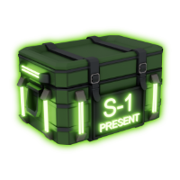 Rare Present Box S-1