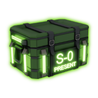 Rare Present Box S-0