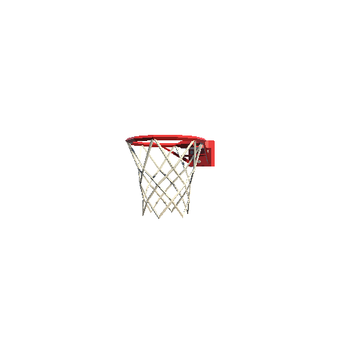 Basketball Net