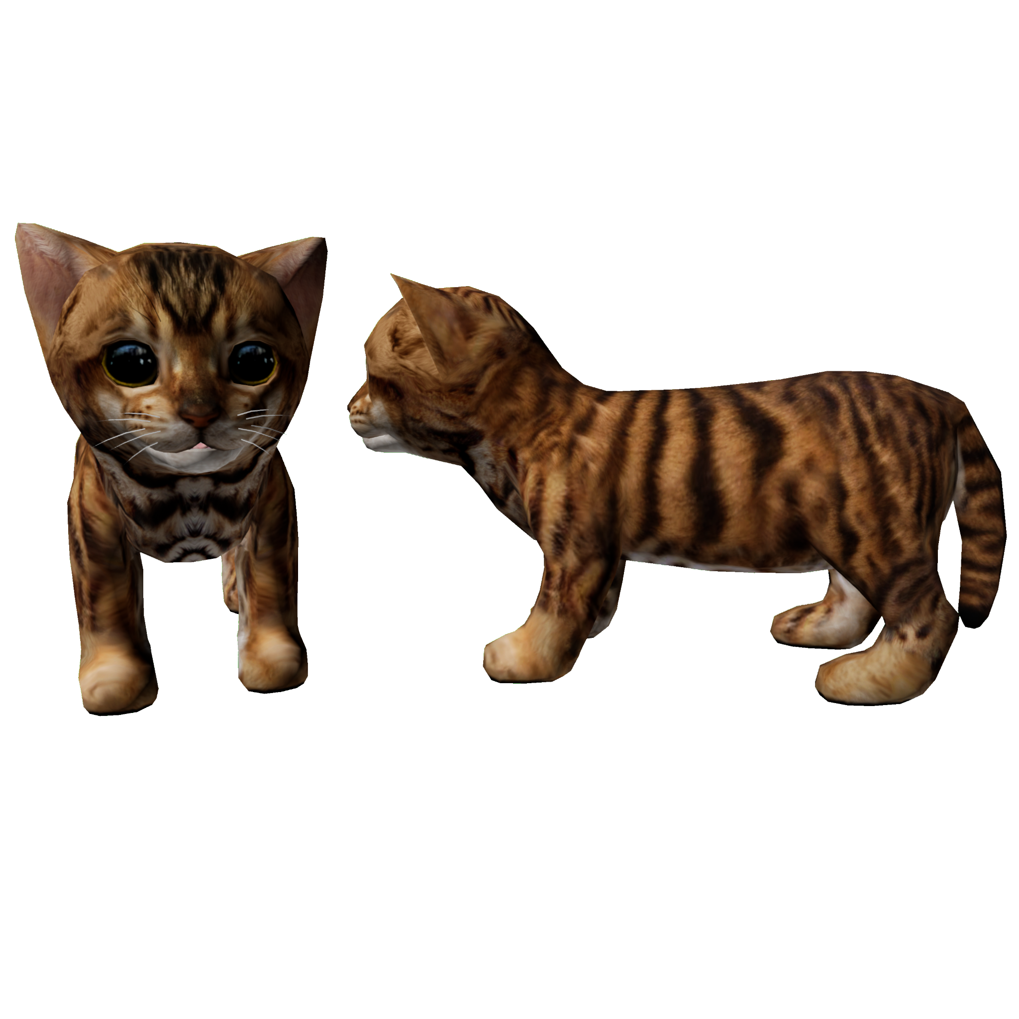 Cat Brown Striped Toyger Patterns