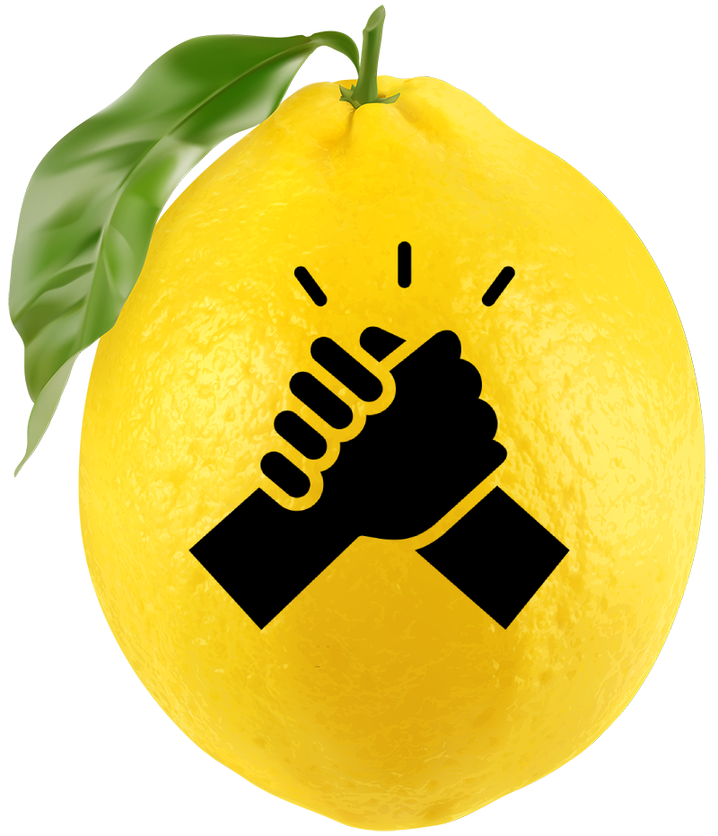 SupportLemon