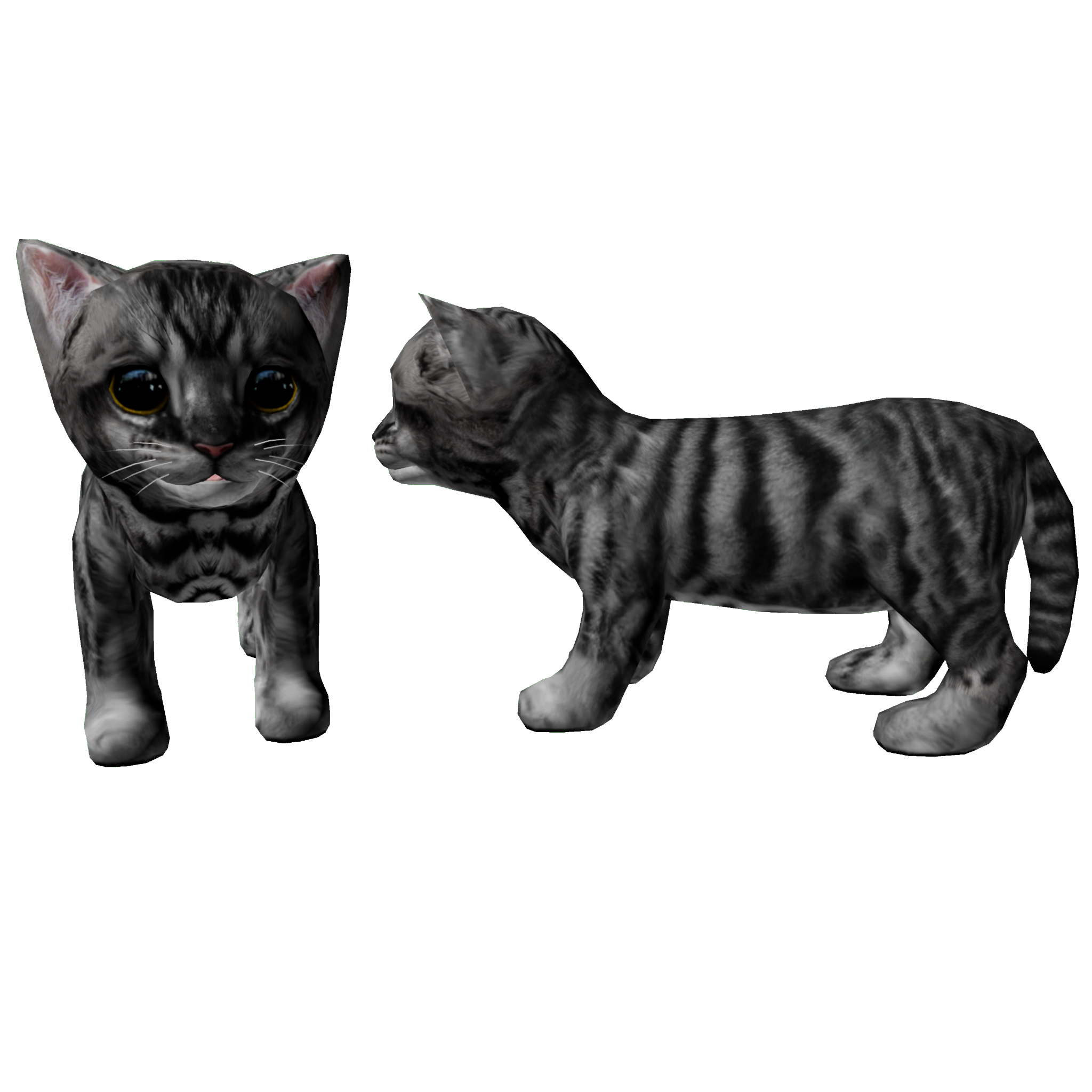 Cat Silver Striped Toyger Patterns