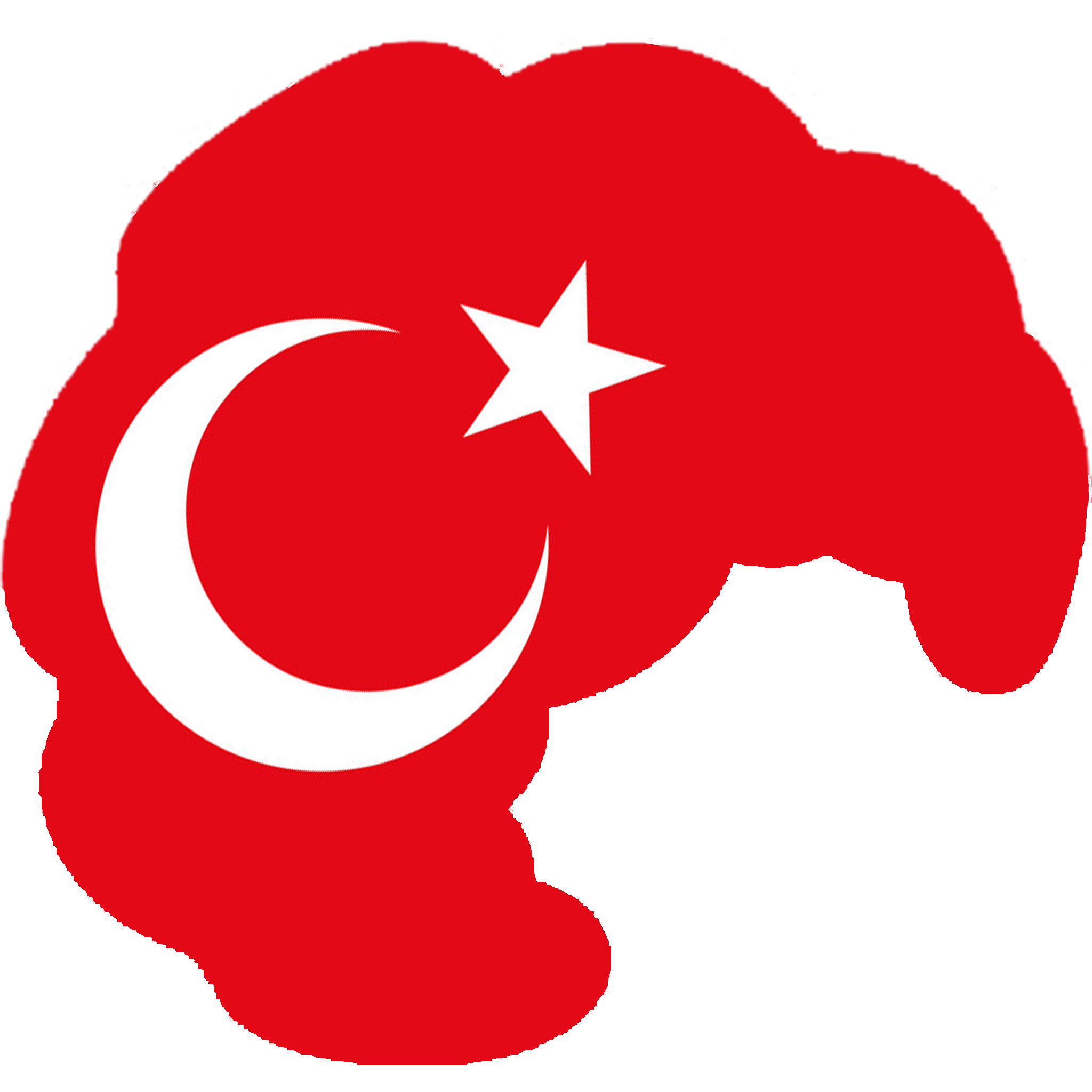 Turkissant