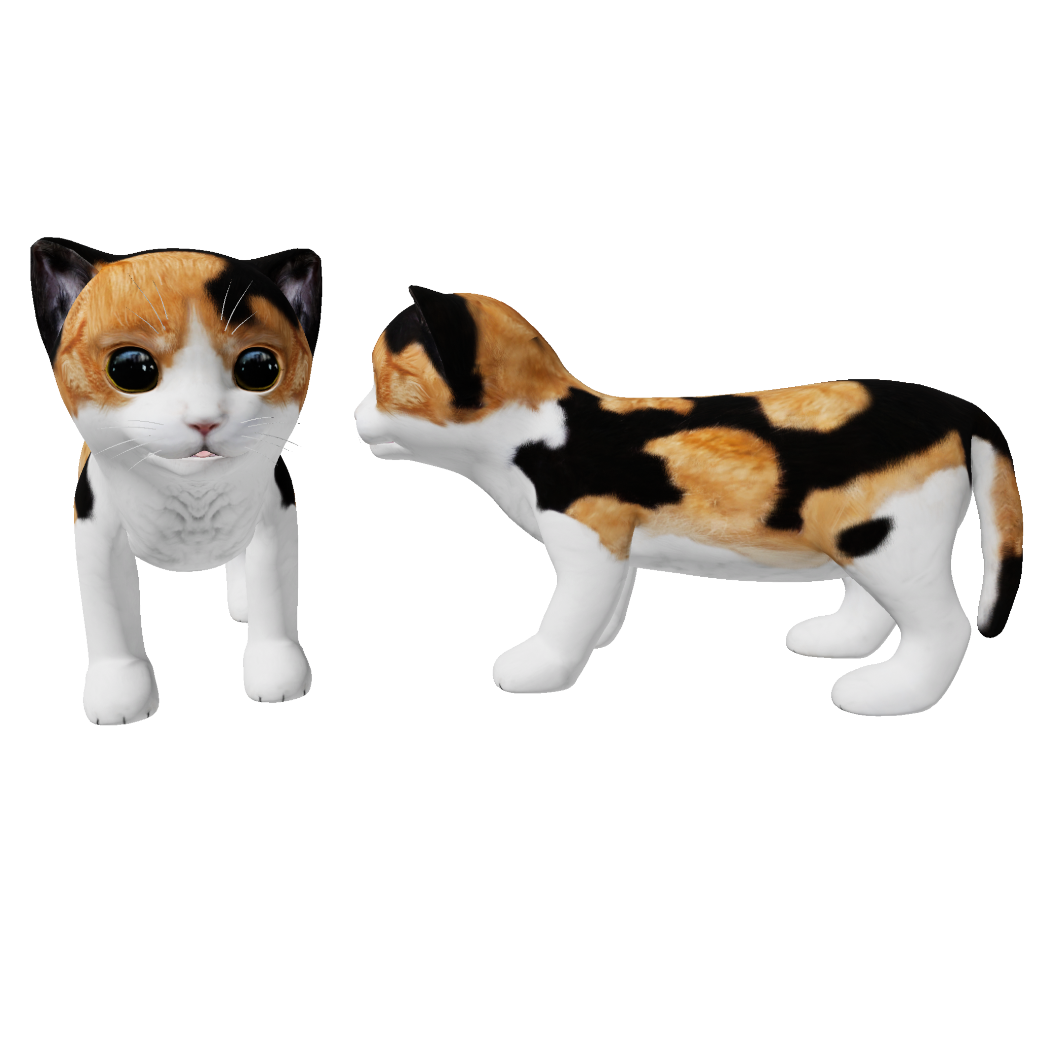 Cat Calico Patterns