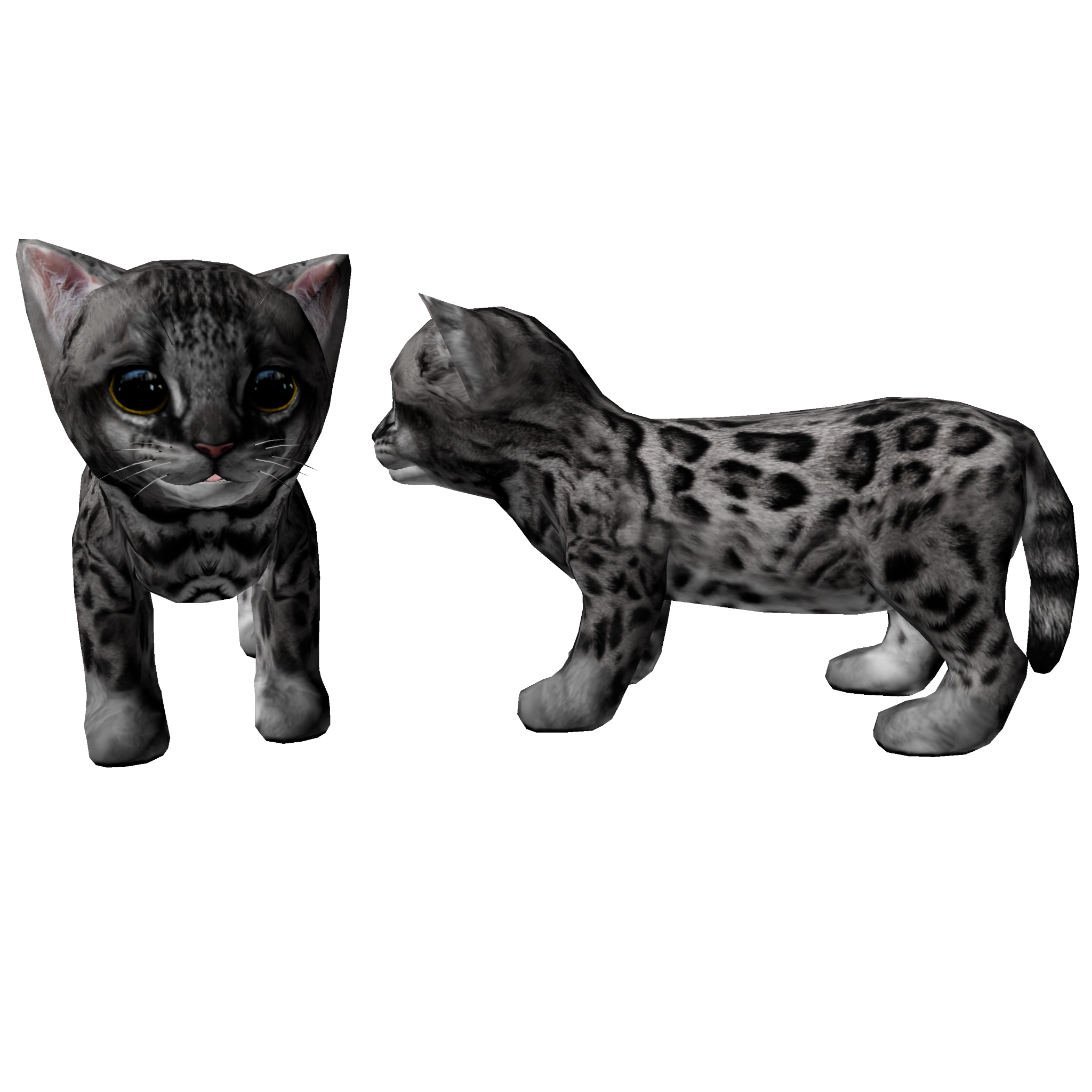 Cat Silver Spotted Bengal Patterns