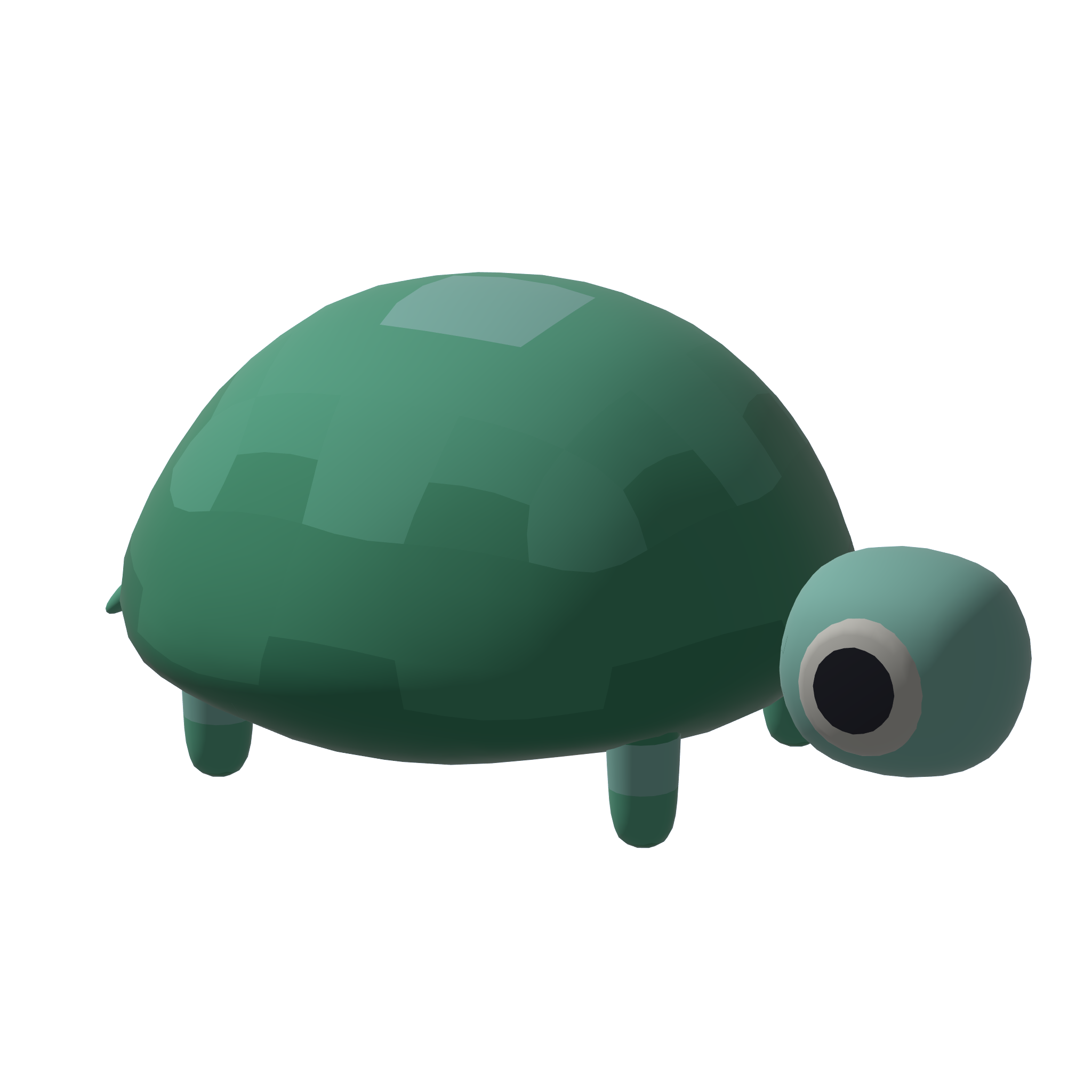 Turtle