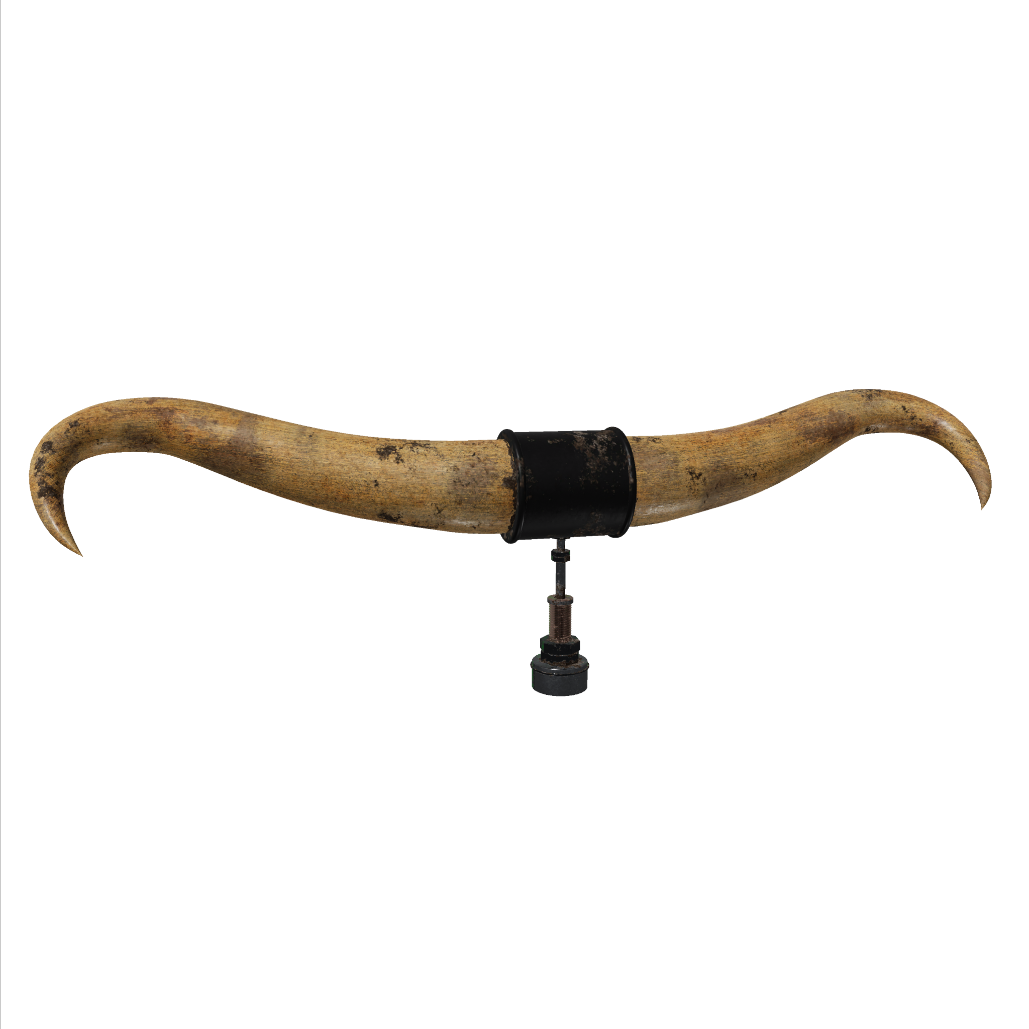 Bull Horns 2 Bone Hood Ornament