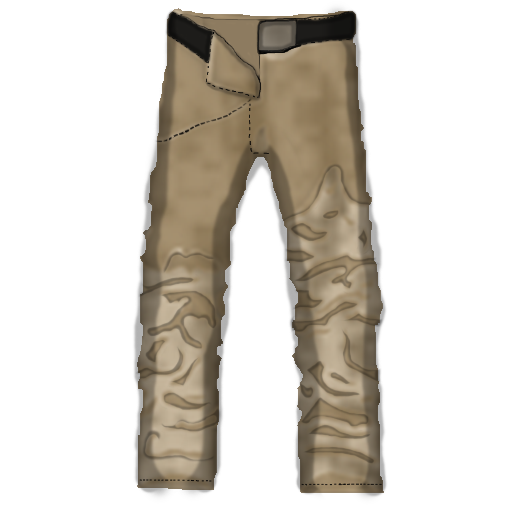 Pants Disguise desert