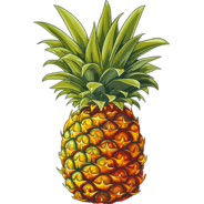 Ananas