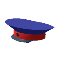 Police Hat