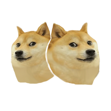 Doge Nuts