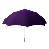 Umbrella - Purple