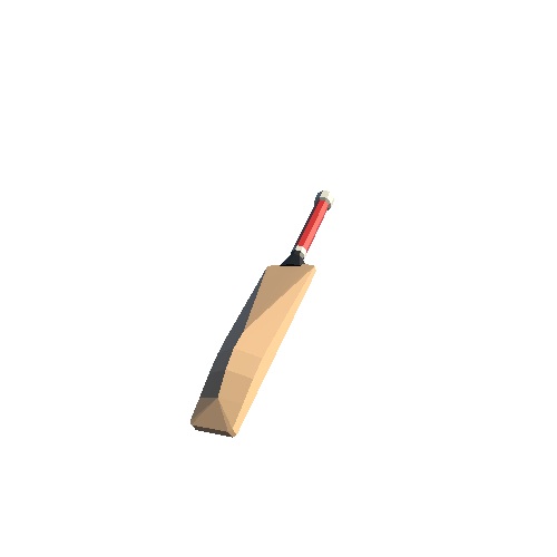 Cricket Racket