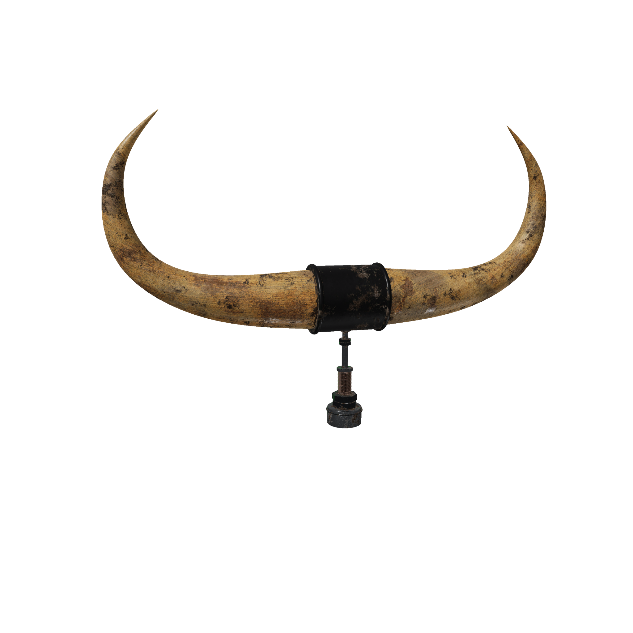 Bull Horns 1 Bone Hood Ornament