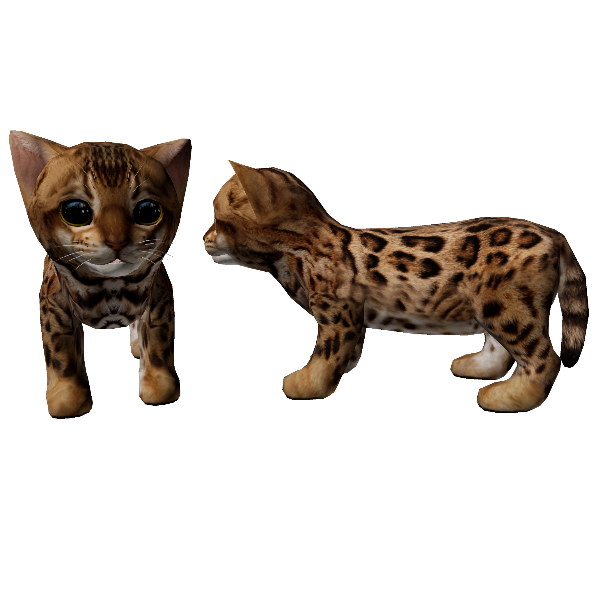 Cat Brown Spotted Bengal Patterns