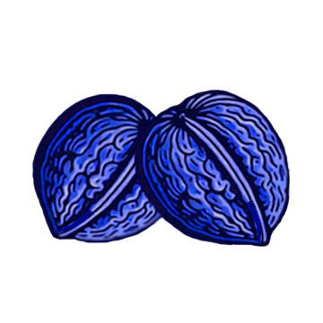 Blue Nuts