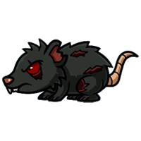 Infected Rat