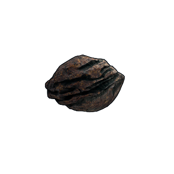 Meteorite