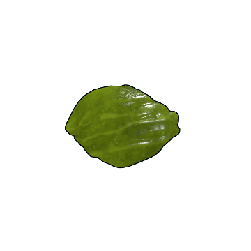 Acid Rock