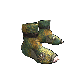 Fish Shoes