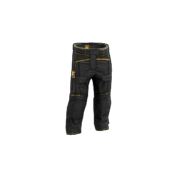 Black Gold Pants