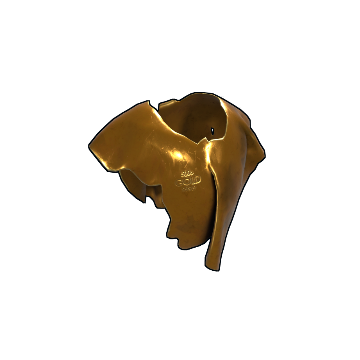 Gold Poncho