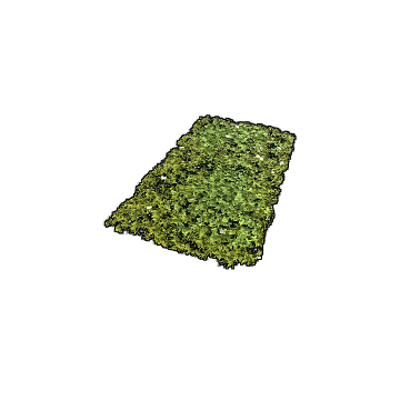 Grass Rug