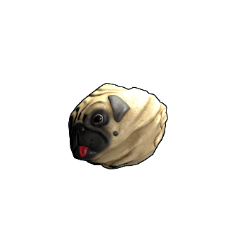 Pug Rock