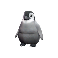 Pebbles da penguin