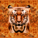 GK Shirt Tiger