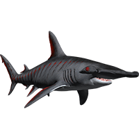 Hammerhead - Bloodfin