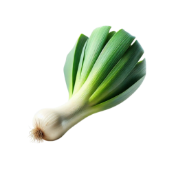 Leek