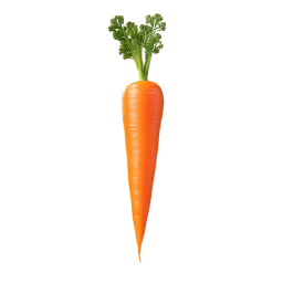 Carrot